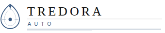 Auto Logo